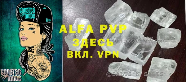 ПСИЛОЦИБИНОВЫЕ ГРИБЫ Алзамай